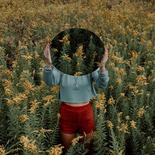 Solution illustration